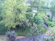 动物园顶越降价急售随时看