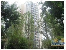 杨家坪 汇景苑(九龙坡)三房