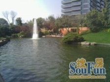 紧邻董家渡金融城,历史的厚重与现代的活力在这里交融