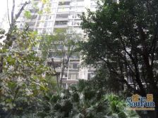 中海龙湾半岛 3室2厅 东南