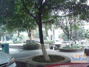 大华情融苑 4室1厅 北