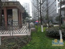 金林俊景 6室1厅 南