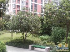 近地铁 现场实勘 产权清晰,无抵押,店长力推