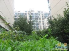 嘉发公寓精装修,房东诚意出售!交通方便,近地铁!