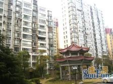 金纺苑,飞机户型大三房,位置好,楼层好