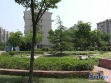 叶城二街坊 2室1厅 南 北