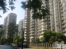 次顶楼,南北通透双阳台,娄王位置,安静舒适,户型正