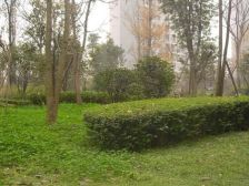 杨公桥 映泉花园二房51万