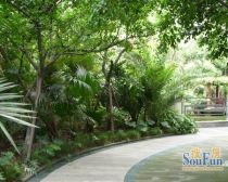 鹭岛国际一二期 1室0厅 西