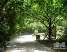 鹭岛国际一二期 6室2厅 南 北