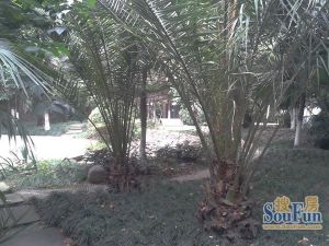 丽景华庭二期4室2厅东