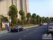 诚心出售 毛坯湖景房 高楼层 采光视野好 户型大 满五