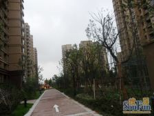 2卫 采光好 南北户型 业主诚心 看房方便 价格可谈