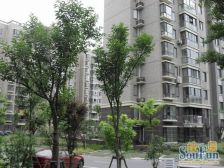 天际蓝桥笋盘,电梯三房,精装修,14号线地铁口,税少,满五