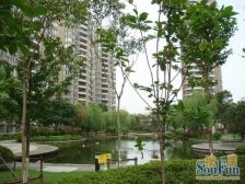 240米楼间距,高楼层景观4房,正规4房,有产权车位,着急卖