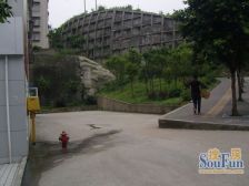 城南新区 澄江安置房三房40万