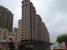 张江南,近地铁,电梯大三房,景观楼层视野好停车方便