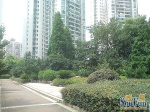 王府花园3室2厅北