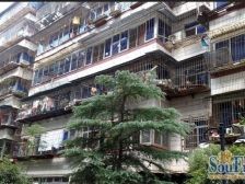 桃苑外国语旁 振中小区 通透一房 中间楼层