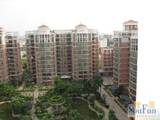 金美花园 1室1厅 东南