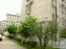 菊园一口价便宜好房+近信业购物广场+近地铁