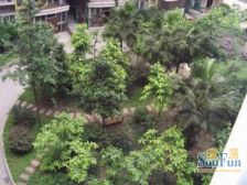 平层户型,无浪费面积,大阳台采光良好,交通便利。