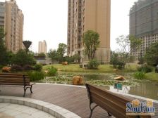 温馨一居室,安静位置,楼层好,采光充足