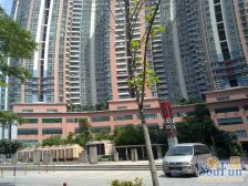 明珠广场精装三房,采光通风好,居住舒适业主诚心卖