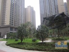 农业园区 金鹏两江时光二房80万