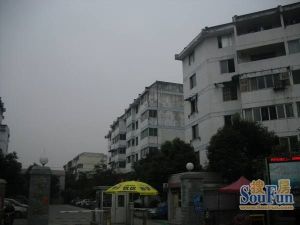 金卉苑3室1厅东南