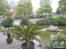 国际华城5室3厅南北