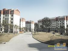 近地铁2号线大三房,楼层好,采光好,房龄新,有园西