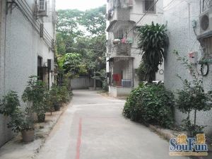 塘厦公园里的房子新装修3房南北通采光好拎包入住