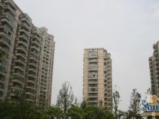 枫华紫园 少见大户 南北通透三房朝南 东边户采光好