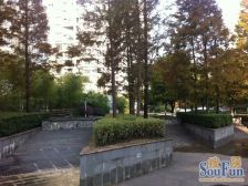 品质小区,大开间,开放式厨房,近地铁