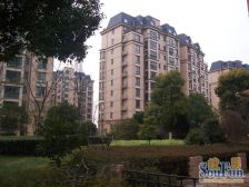 韩国街、万象城,平层别墅,轻奢装修,可拎包入住。