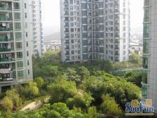 星河传说聚星岛A区 6室1厅 南