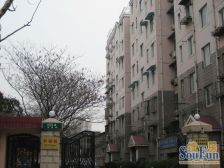 和颐苑 1室2厅 南