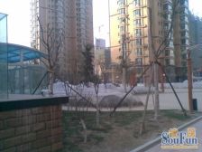 东欧逸景 气象局地铁口 精装修 领包入住 满五唯一