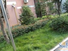 莘庄·团结花苑-莘建路376弄·2室·2厅
