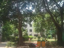 丽城花园方正大三房 不欠款 方正实用