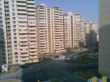 三林·三林新村(永泰路133弄)·2室·2厅