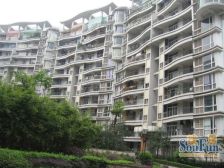 帝豪巴南印象 1室1厅 东南