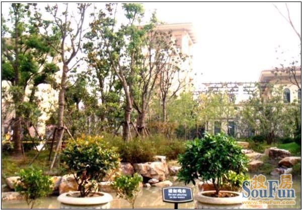 东方帕堤欧花园小城