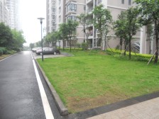 学府路 渝能国际三房118万