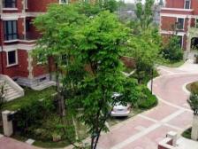 顾村·旭辉依云湾·5室·2厅