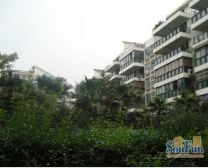 江南房子北区 4室2厅 南