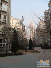 业主急售电梯房落地窗南北通透精装修