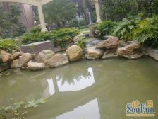 寮步星城国际,大社区配套齐生活便利。南向户型好。