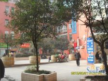 鱼洞 三鼎雅园二房43万